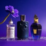 Niche Perfumes